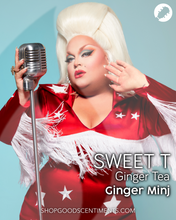 Load image into Gallery viewer, SWEET T - by Ginger Minj
